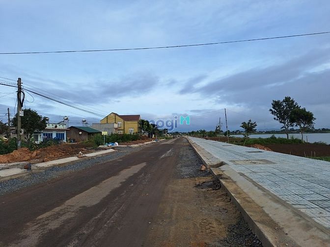 Hình ảnh Đất Cây lâu năm , Núi rchai,  Lâm đồng