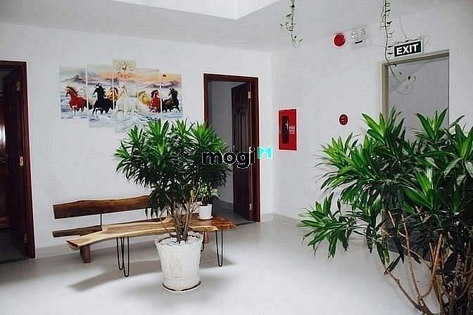 Hình ảnh Mb6623 nạp rút nhanh chóng studio cửa sổ,view cây xanh,Nguyễn Đức Thuận Tân Bình