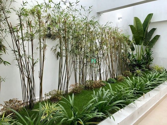 Hình ảnh Cho thuê penthouse 4S Linh Đông 4PN nhà mới, tiện ích đầy đủ full NT