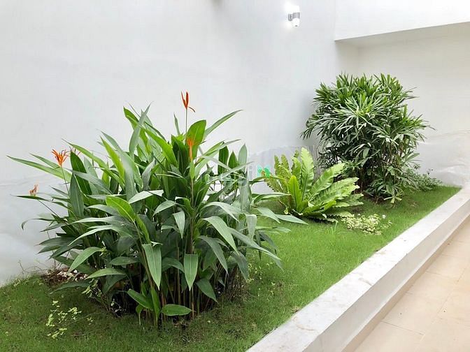 Hình ảnh Cho thuê penthouse 4S Linh Đông 4PN nhà mới, tiện ích đầy đủ full NT
