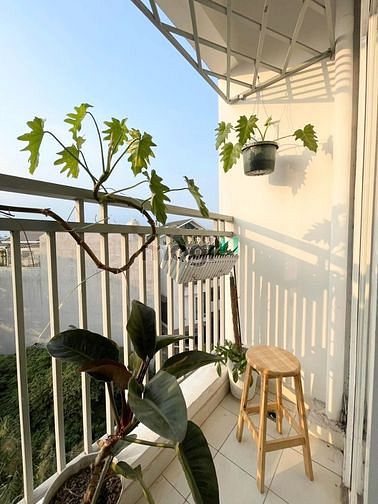 Hình ảnh Cho thuê Căn Hộ Sky Tower, Phường Bình Trưng Đông Quận 2