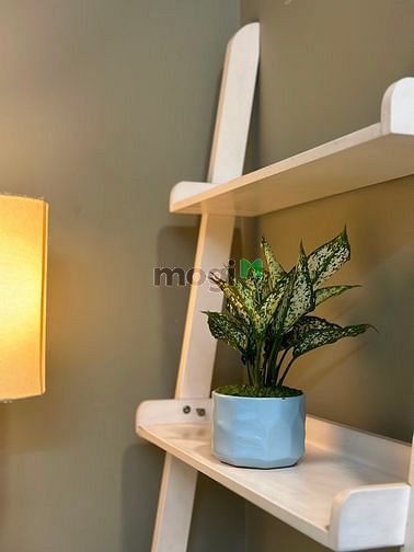 Hình ảnh Studio full nội thất  Võ Văn Tần ,q3 1pn+thoáng mát