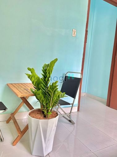 Hình ảnh Cho thuê Trang Chủ MB66.COM / Đăng Ký Tặng 66K mini 2PN ban công thoáng sát bên Đại Học Văn Lang