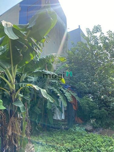 Hình ảnh Bán mảnh đất Văn Chỉ- Đồng Mai- Hà Đông