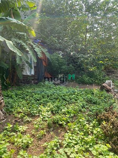 Hình ảnh Bán mảnh đất Văn Chỉ- Đồng Mai- Hà Đông