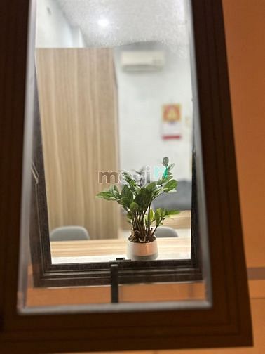 Hình ảnh 🏠CHDV ban công_máy giặt riêng đường Cộng Hòa gần Etown Tân Bình