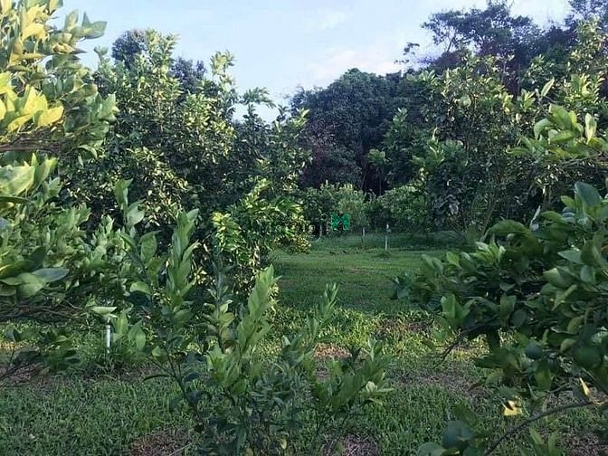 Hình ảnh Thu hồi vốn nên cần bán nhanh miếng vườn 28OOm2, SỔ HỒNG RIÊNG