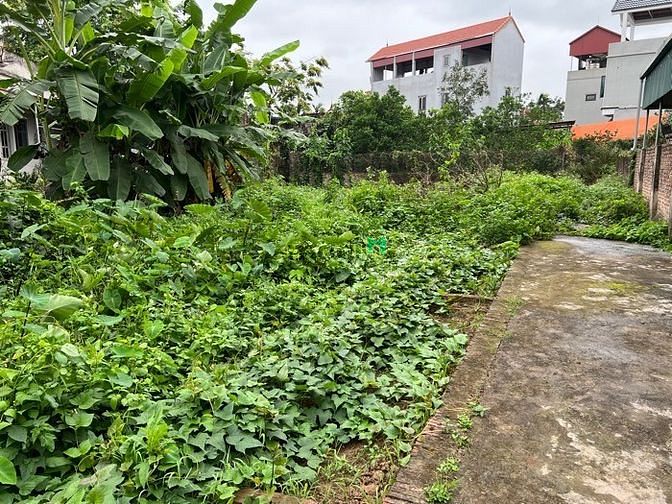 Hình ảnh Bán mảnh đất Ngõ Cống Đá- Tổ 14- Đồng Mai- Hà Đông