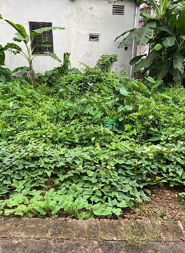 Hình ảnh Bán mảnh đất Ngõ Cống Đá- Tổ 14- Đồng Mai- Hà Đông
