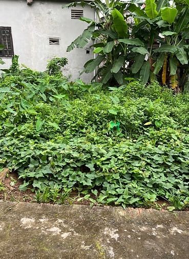 Hình ảnh Bán mảnh đất Ngõ Cống Đá- Tổ 14- Đồng Mai- Hà Đông