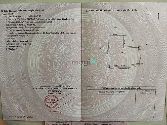 Hình ảnh Chính chủ bán đất lúa, thổ Giá Trang MB66.COM Chính Thức - MB 66 Uy Tín ở CHÂU THÀNH, LONG AN