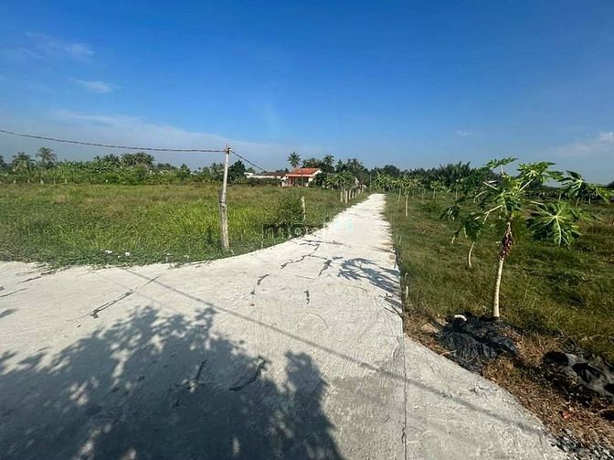 Hình ảnh Chính chủ bán đất lúa, thổ Giá Trang MB66.COM Chính Thức - MB 66 Uy Tín ở CHÂU THÀNH, LONG AN