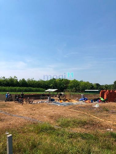 Hình ảnh Đất thành phố nhưng giá làng xã, chỉ 5 triệu/m2