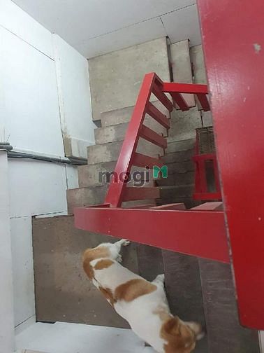 Hình ảnh Bán nhà 4 Tầng Tây Hoà 100M2 Phước Long A - hẻm ô tô - Nhỉnh 4 tỷ