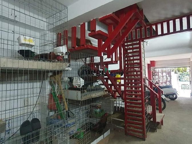 Hình ảnh Bán nhà 4 Tầng Tây Hoà 100M2 Phước Long A - hẻm ô tô - Nhỉnh 4 tỷ
