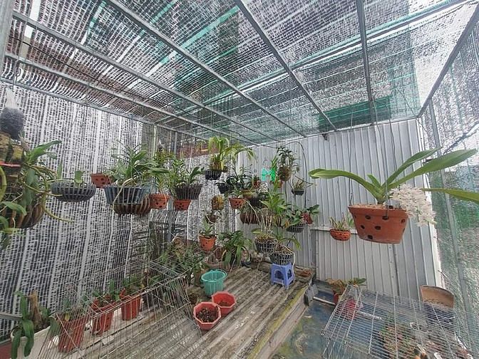 Hình ảnh Bán nhà 4 Tầng Tây Hoà 100M2 Phước Long A - hẻm ô tô - Nhỉnh 4 tỷ