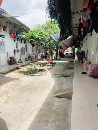 Hình ảnh Bán gấp rẻ 2230m Đất Thổ Cư hẻm xe Tải đường số 8 Thủ Đức, 25 triệu/m2