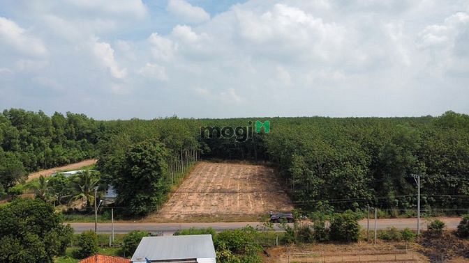 Hình ảnh Cần bán lô đất 150m2, cách đường DH716 50m, dân cư đã ở đông, gần chợ