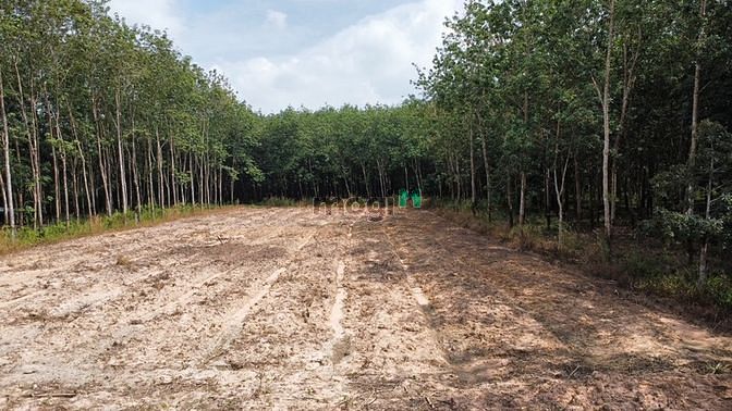 Hình ảnh Cần bán lô đất 150m2, cách đường DH716 50m, dân cư đã ở đông, gần chợ
