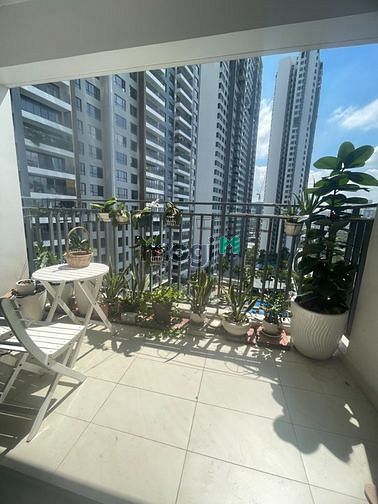 Hình ảnh Cho thuê Trang Chủ MB66.COM / Đăng Ký Tặng 66K 2PN Tháp 8 dự án The View - Riviera Point 91m, Q7
