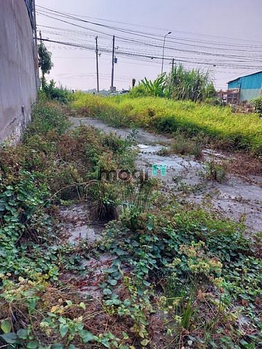 Hình ảnh Bán 191m2 thổ cư Đất MT DT824 xã Hựu Thạnh, Đức Hoà, Long An