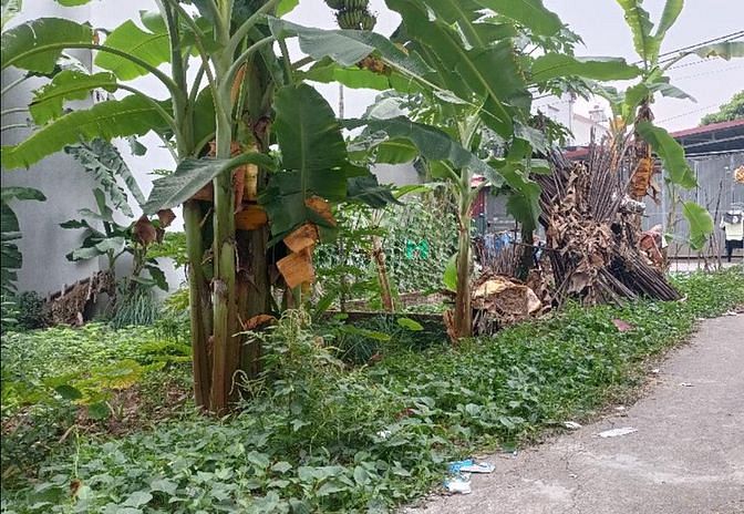Hình ảnh 📌📌📌Bán đất yên Nghĩa- Hà Đông