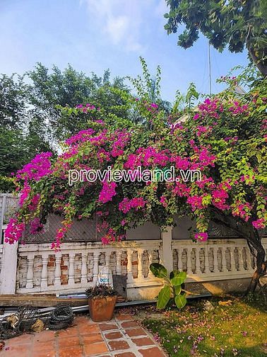 Hình ảnh Cho thuê căn biệt thự Thảo Điền, khu Compound, 720m2 đất, 4PN, hồ bơi