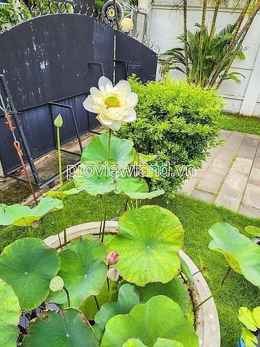 Hình ảnh Cho thuê căn biệt thự Thảo Điền, khu Compound, 720m2 đất, 4PN, hồ bơi