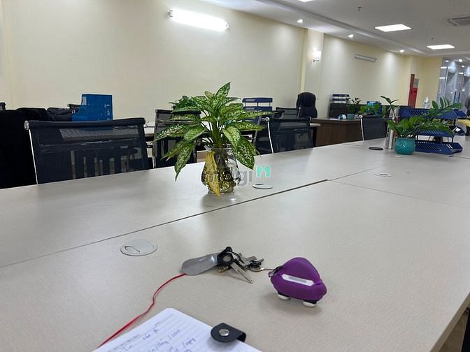 Hình ảnh Cho thuê MBKD phố Hoàng Quốc Việt 100m2 7 tầng 5m mt