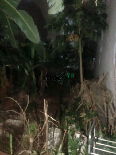 Hình ảnh Bán mảnh đất tổ 14 Phú Lương - Hà Đông