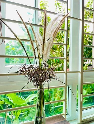 Hình ảnh 1PN rộng thoáng, nhiều cây xanh CH.Ỉ 7.X