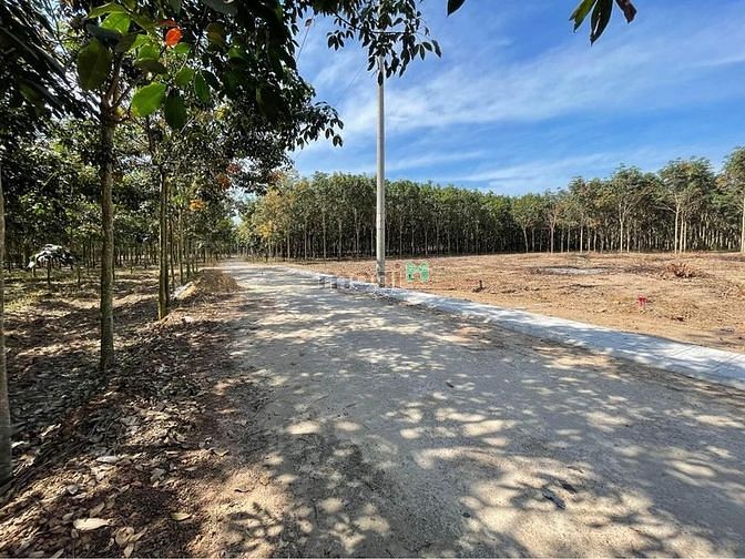 Hình ảnh Bán gấp lô MT 140m2 LÊ Thị Vui PHước Hiệp Củ Chi chỉ 580tr