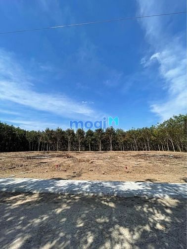 Hình ảnh Bán gấp lô MT 140m2 LÊ Thị Vui PHước Hiệp Củ Chi chỉ 580tr