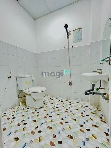 Hình ảnh CHDV giá Siêu Hạt Dẻ Tại Quận 1