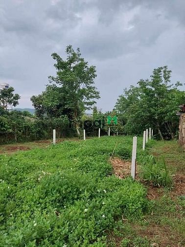 Hình ảnh Cần bán 2 lô đất thuộc Thôn 5 Lộc Ngãi- Bảo Lâm