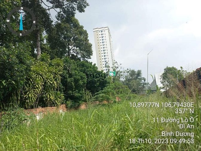 Hình ảnh Cần bán gấp lô đất Dĩ an 773m co 511mtc giá 17ty500 NH thanh lý