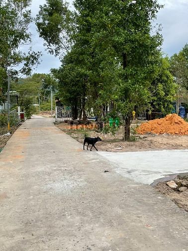 Hình ảnh Bán Đất Suôi Mây, Dương Tơ, Phú Quốc
