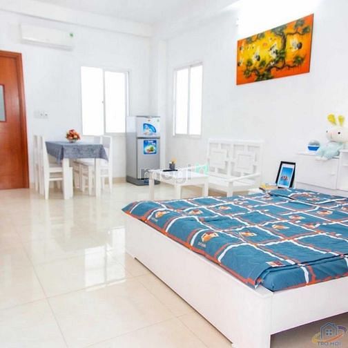 Hình ảnh Cho Thuê chung cư mini, full nội thất ở phường 15, tân bình