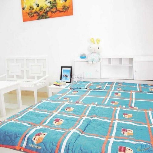 Hình ảnh Cho Thuê chung cư mini, full nội thất ở phường 15, tân bình