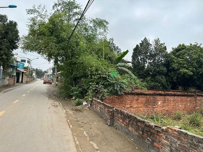 Hình ảnh Đất THỔ CƯ 167m2 đường QL21, Sơn Tây