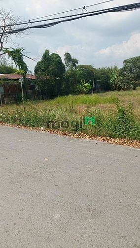 Hình ảnh Bán đất mặt tiền, xã Đa Phước Bình Chánh