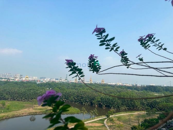 Hình ảnh Bán Trang Chủ MB66.COM / Đăng Ký Tặng 66K SARICA bán 23 tỷ view MB66 là nhà cái uy tín hàng đầu tại Việt Nam.
