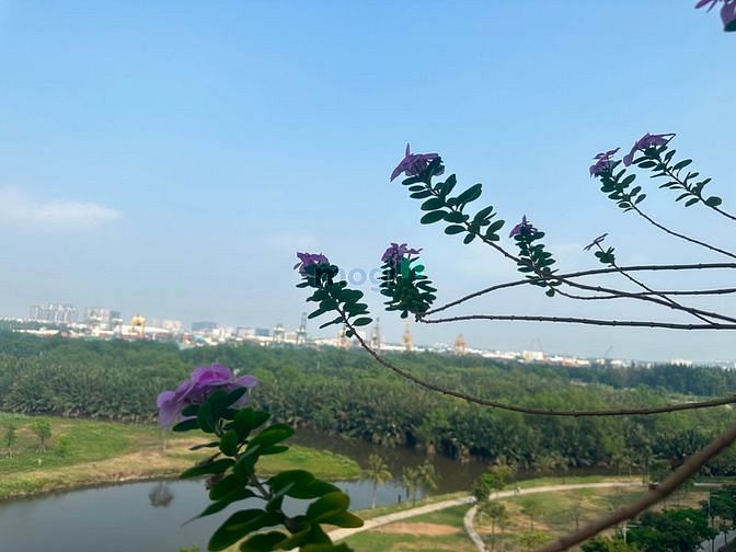 Hình ảnh Bán Trang Chủ MB66.COM / Đăng Ký Tặng 66K SARICA bán 23 tỷ view MB66 là nhà cái uy tín hàng đầu tại Việt Nam.