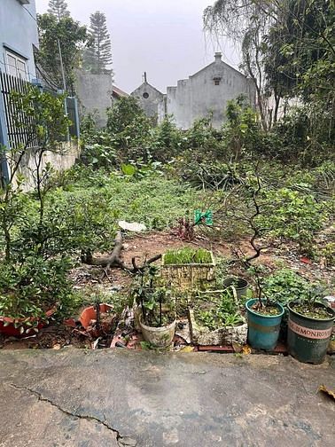 Hình ảnh Cần bán Đất Thường Tín, đất đẹp, giá rẻ ,gần vành đai 4 -135m2 - 2.7tỷ