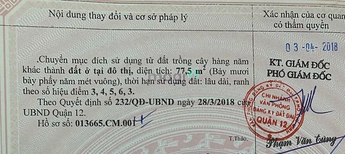 Hình ảnh Đất hiếm mặt đường dự phóng 30m (4x23m)