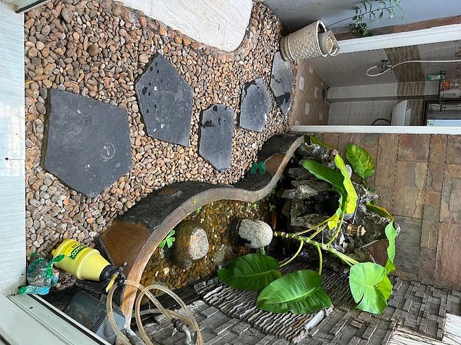 Hình ảnh Phòng cho thuê tầng trệt , full nội thất ,