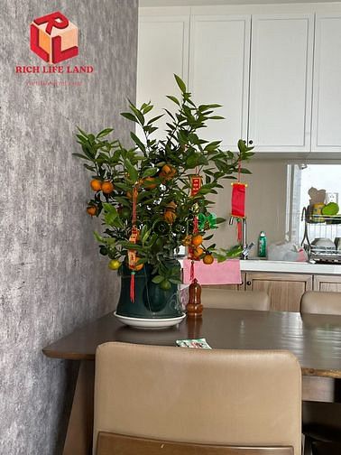 Hình ảnh Chỉ 19TR ở ngay Trang Chủ MB66.COM / Đăng Ký Tặng 66K Masteri An Phú full nội thất đẹp !!!