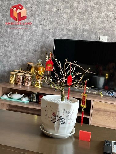 Hình ảnh Chỉ 19TR ở ngay Trang Chủ MB66.COM / Đăng Ký Tặng 66K Masteri An Phú full nội thất đẹp !!!