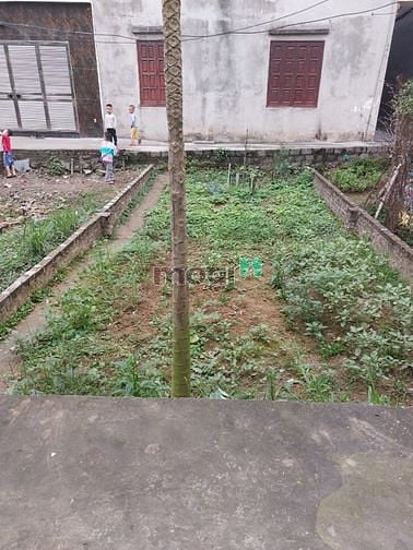 Hình ảnh MỞ MẮT RA CHỢ, ngô gia tự, long biên