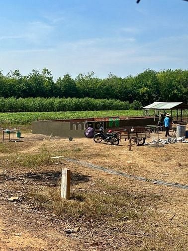 Hình ảnh Đất ngộp giá rẻ khu phố Suối Sâu